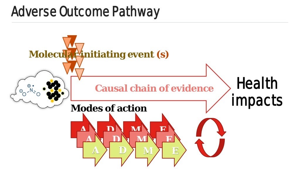 Health effects of PM2.5. Is there anything new to add? - Dr Ian Mudway