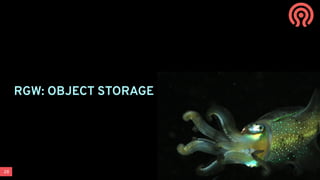 28
RGW: OBJECT STORAGE
 