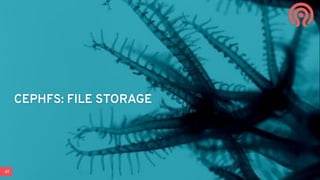 41
CEPHFS: FILE STORAGE
 