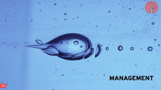 50
MANAGEMENT
 