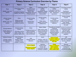 Primary Science Curriculum Overview by Theme
Year 1 Year 2 Year 3 Year 4 Year 5 Year 6
Plants
(Identify, name, sort,
classify)
Living things and their
habitats
(Living/Non-living/dead
Habitats/ Food Chains)
Plants
(Functions of parts
requirements for
growth, water
transportation; life-cycle
of flowering plants)
Living things and their
Habitats
(Grouping,
classification; habitats;
impact of changing
environments)
Living things and their
Habitats
Life cycles of mammal,
amphibians, insect, and
bird. Plant/animal
reproduction
Living things and their
Habitats
Classification;
similarities/differences,
micro-organisms
Animals including
Humans
(Identify, name, sort,
classify)
Plants
(Seeds and bulbs:
simple life-cycles;
conditions for growth)
Animals including
Humans
(Nutrition/Diet;
Movement)
Animals including
Humans
(Teeth, eating,
digestion; food chains,
predator-prey)
Animals including
Humans
Human growth and
development from
pregnancy
Animals including
Humans
Heart and circulation,
impact of diet, exercise,
drugs, lifestyle;
transport of nutrients
and water
Everyday Materials
(Identify objects and
their materials;
properties)
Animals including
Humans
(Life-cycles, survival
needs, nutrition, diet,
exercise, healthy lives)
Rocks
Compare and group on
basis of properties;
fossil formation; rock
cycle, soil formation.
States of Matter
Solids, liquids, gases;
physical changes and
temperature; water
cycle: evaporation/
condensation
Properties and changes
of Materials
Chemical change,
dissolving, mixing,
separating materials,
sieving, filtration,
evaporation
Evolution & Inheritance
Recognising change
over time; fossil
evidence; offspring
inherit characteristics,
adaptation.
Seasonal Changes
(Changes, weather
associated with four
seasons)
Uses of Everyday
Materials
(Identify, compare
suitability of use;
changes in materials)
Light
Light/dark; shadows;
reflections.
Sound
Vibrations; media, the
ear; patterns in sounds;
pitch; changing sounds;
Earth and Space
The Earth’s rotation and
orbit relative to Sun.
Day, night
Light
Light travels in straight
lines; how we see light
sources or reflected
light
Forces & Magnets
Movement on surfaces/
Friction; Magnets
Electricity
Construct simple
circuits; add
components, switches,
conductors, insulators
Forces
Gravity; air resistance,
water resistance,
friction; mechanisms;
levers, pulleys, gears.
Electricity
Changing brightness,
loudness of
components; use
conventional symbols
 