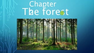 The forest
Chapter
2
 