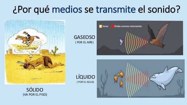 Imagenes Como Se Produce El Sonido