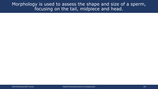 Morphology is used to assess the shape and size of a sperm,
focusing on the tail, midpiece and head.
ACM Multimedia 2019 Tutorial Medical Multimedia Systems and Applications 136
 