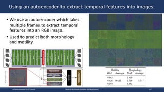 Using an autoencoder to extract temporal features into images.
• We use an autoencoder which takes
multiple frames to extract temporal
features into an RGB image.
• Used to predict both morphology
and motility.
ACM Multimedia 2019 Tutorial Medical Multimedia Systems and Applications 147
 