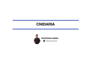 CNIDARIA
PROFESSOR AMEBA