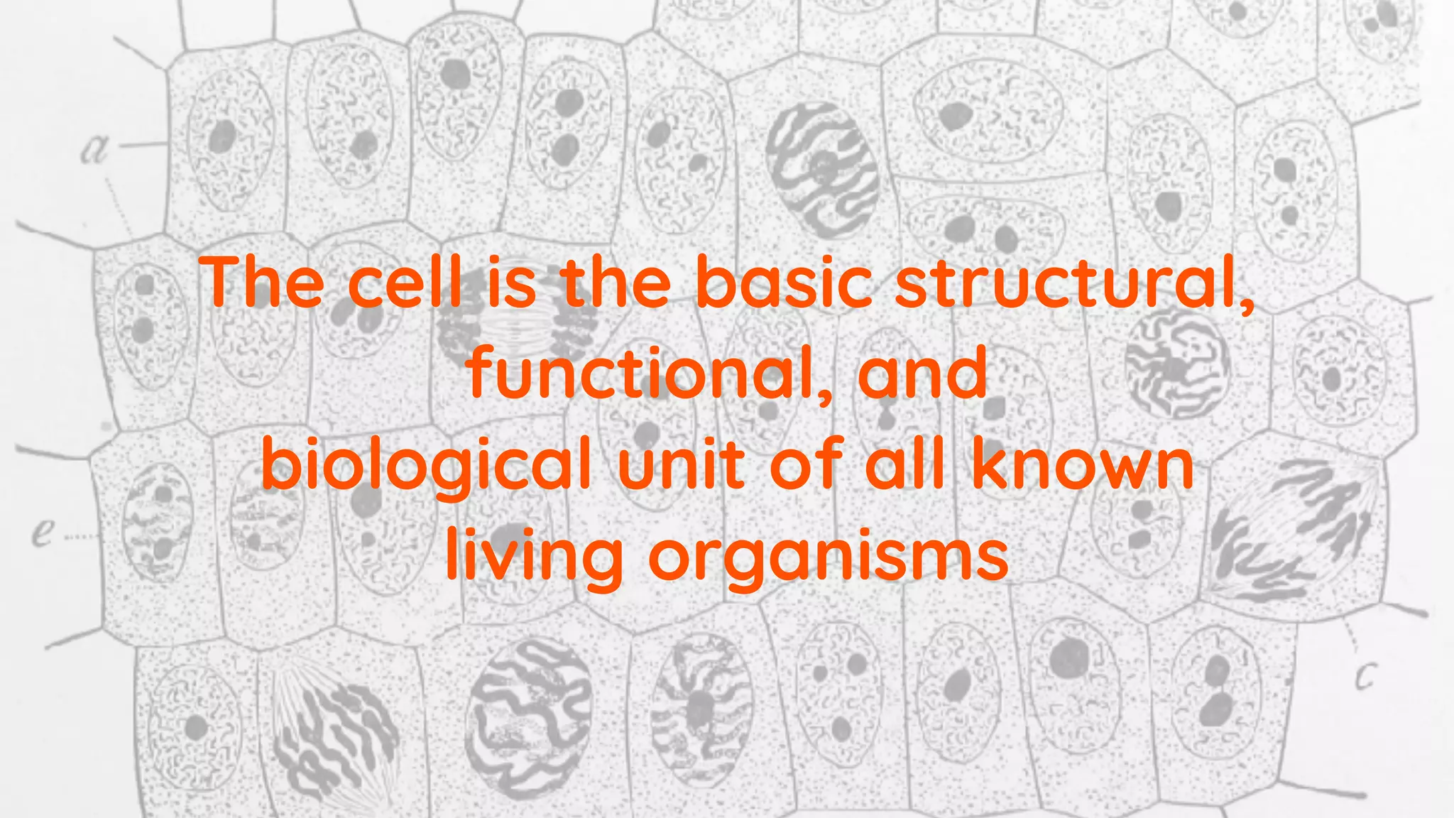 The cell is the basic structural,
functional, and
biological unit of all known
living organisms
 