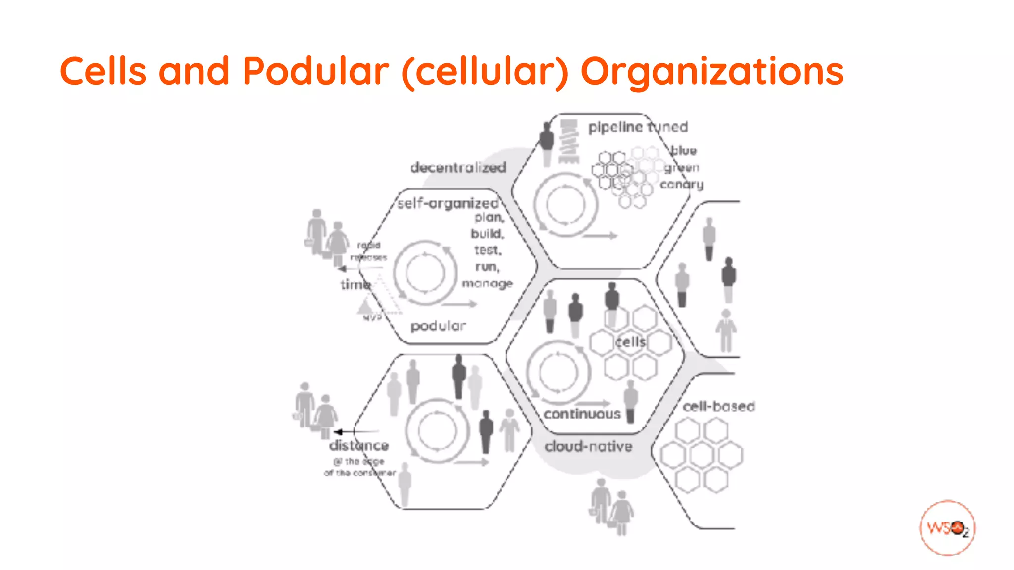 Cells and Podular (cellular) Organizations
 