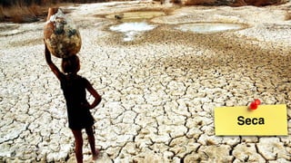 Professor Ameba
Seca
 