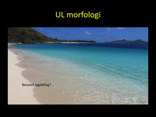 UL morfologi
Bevaret lagdeling?
 