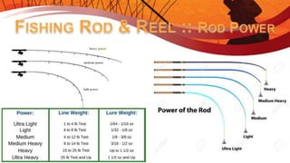 Introduction to Fishing - Ontario