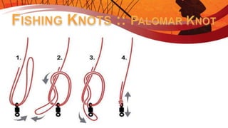 Introduction to Fishing - Ontario