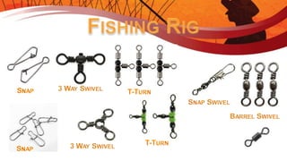 Introduction to Fishing - Ontario