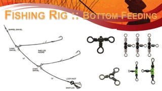 Introduction to Fishing - Ontario