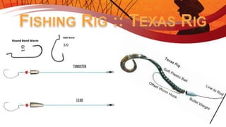 Introduction to Fishing - Ontario