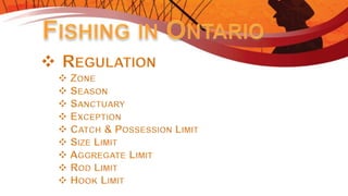 Introduction to Fishing - Ontario