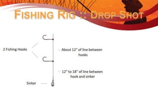 Introduction to Fishing - Ontario