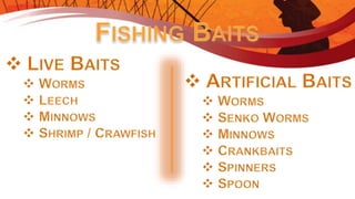 Introduction to Fishing - Ontario