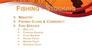 Introduction to Fishing - Ontario