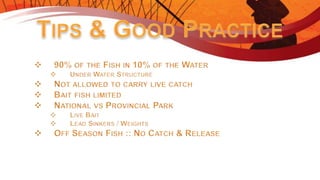 Introduction to Fishing - Ontario