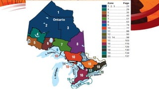Introduction to Fishing - Ontario