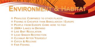 Introduction to Fishing - Ontario