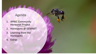 Agenda
1. APNIC Community
Honeynet Project
2. Honeypots @ GEMNET
3. Learning from the
Honeypots
4. Extras
 