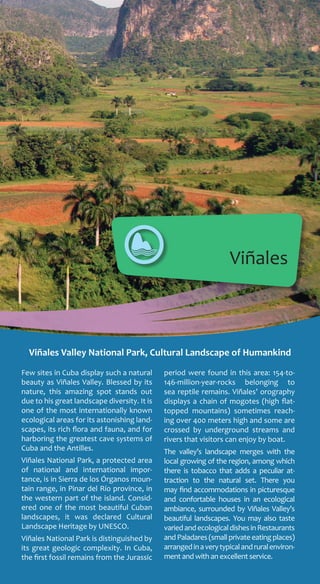 Viñales
Few sites in Cuba display such a natural
beauty as Viñales Valley. Blessed by its
nature, this amazing spot stands out
due to his great landscape diversity. It is
one of the most internationally known
ecological areas for its astonishing land-
scapes, its rich flora and fauna, and for
harboring the greatest cave systems of
Cuba and the Antilles.
Viñales National Park, a protected area
of national and international impor-
tance, is in Sierra de los Órganos moun-
tain range, in Pinar del Río province, in
the western part of the island. Consid-
ered one of the most beautiful Cuban
landscapes, it was declared Cultural
Landscape Heritage by UNESCO.
Viñales National Park is distinguished by
its great geologic complexity. In Cuba,
the first fossil remains from the Jurassic
period were found in this area: 154-to-
146-million-year-rocks belonging to
sea reptile remains. Viñales’ orography
displays a chain of mogotes (high flat-
topped mountains) sometimes reach-
ing over 400 meters high and some are
crossed by underground streams and
rivers that visitors can enjoy by boat.
The valley’s landscape merges with the
local growing of the region, among which
there is tobacco that adds a peculiar at-
traction to the natural set. There you
may find accommodations in picturesque
and confortable houses in an ecological
ambiance, surrounded by Viñales Valley’s
beautiful landscapes. You may also taste
variedandecologicaldishesinRestaurants
and Paladares (small private eating places)
arrangedinaverytypicalandruralenviron-
ment and with an excellent service.
Viñales Valley National Park, Cultural Landscape of Humankind
 
