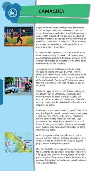 256
La provincia de Camagüey sorprende gratamente
al visitante que se decide a recorrer el país. Las
vastas llanuras y abundantes especies de palmeras
caracterizan el paisaje tierra adentro. Dos agrupa-
mientos montañosos de poca elevación sobresalen
en el llano panorama: La Sierra de Cubitas, al norte,
es notable por los cañones y abras que la cortan,
profunda y transversalmente.
Es considerable la presencia de cuevas con forma-
ciones secundarias y de interés paleontológico y
arqueológico; en la Sierra de Najasa, al sur, se desta-
can los yacimientos de maderas fósiles, entre otros
elementos naturales notables.
Justo en su mismo centro, como si emergiera
del pasado, irrumpe la ciudad capital, con sus
soberbios campanarios y la elegante longevidad de
los edificios que un día fueron el centro de la villa
de Santa María del Puerto del Príncipe: una trama
laberíntica de calles, callejones y plazas sin par en
el Caribe.
Cristalinas aguas y finas arenas doradas distinguen
sus playas y cayos. Camagüey es la región con
mayor cantidad de cayos e islotes. Cuenta con
más de 120 km de hermosas playas asociadas a las
cayerías norte y sur de su territorio: 1 de cada 4 km
de playas de Cuba.
En el litoral norte se encuentra la cayería Sabana-Ca-
magüey, lugar de tránsito y anidación de numerosas
especies de aves migratorias y mayor reservorio
natural del flamenco rosado en América. Cayo
Romano, en particular, fue el escenario en el cual
Ernest Hemingway se dedicó a buscar submarinos
nazis durante la Segunda Guerra Mundial y a corre-
rías de caza y pesca.
Al sur, la cayería Jardines de la Reina, un feudo
natural exótico y salvaje, presenta abundantes arre-
cifes coralinos de amplia biodiversidad y algunas
playas arenosas de poca extensión.
De entre todos los atractivos, lo mejor que encuen-
tra el visitante a su paso son, sin dudas, los propios
camagüeyanos: gentiles, altivos, cultos y muy ape-
gados a su terruño y sus tradiciones. Le invitamos a
conocer Camagüey y su gente, una experiencia que
vale la pena intentar.
CAMAGÜEY
 