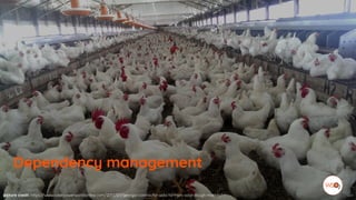 picture credit: https://www.solarpowerworldonline.com/2017/07/georgia-contractor-sells-farmers-solar-tough-market/
Dependency management
 