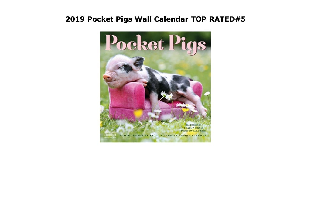 2019 Pocket Pigs Wall Calendar TOP RATED#5