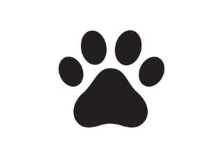 PETZ - Projeto Experimental de Conclusão de Curso