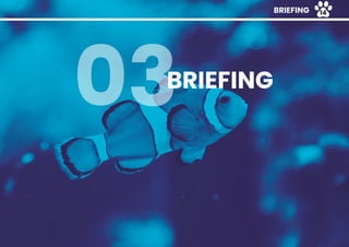 BRIEFING
03
BRIEFING 14
 