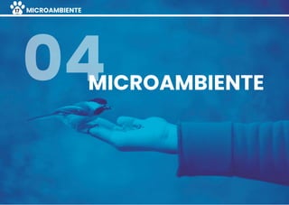 ANÁLISE04MICROAMBIENTE
MICROAMBIENTE17
 