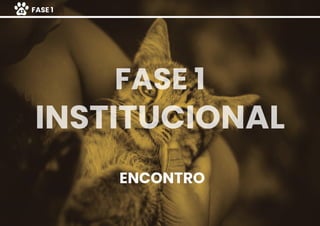 ENCONTRO
FASE 1
INSTITUCIONAL
FASE 143
 