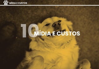 MÍDIA E CUSTOS10
MÍDIA E CUSTOS73
 