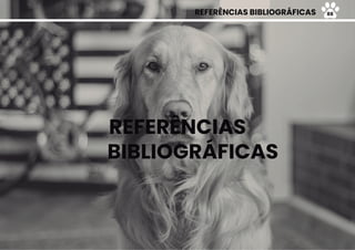 REFERÊNCIAS
BIBLIOGRÁFICAS
REFERÊNCIAS BIBLIOGRÁFICAS 88
 