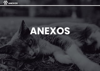 ANEXOS
ANEXOS94
 