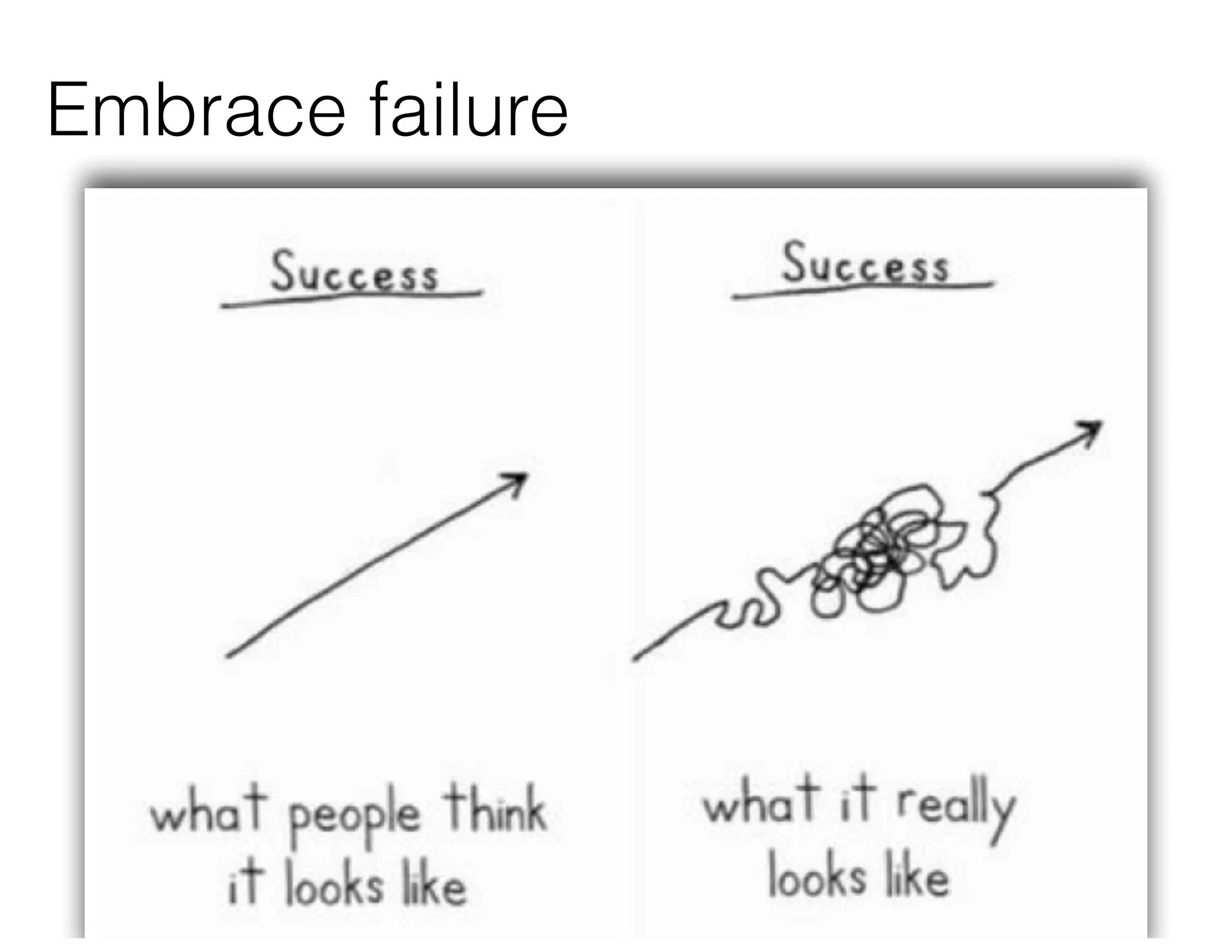 Embrace failure
 