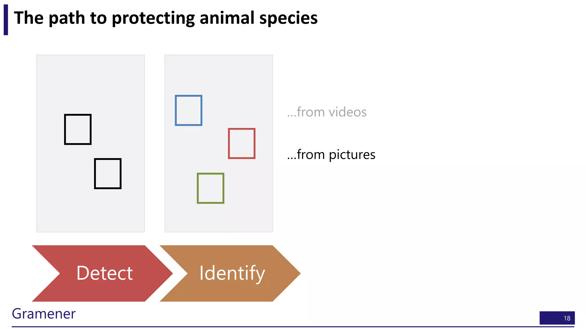 18Gramener
The path to protecting animal species
Detect Identify
…from videos
…from pictures
 