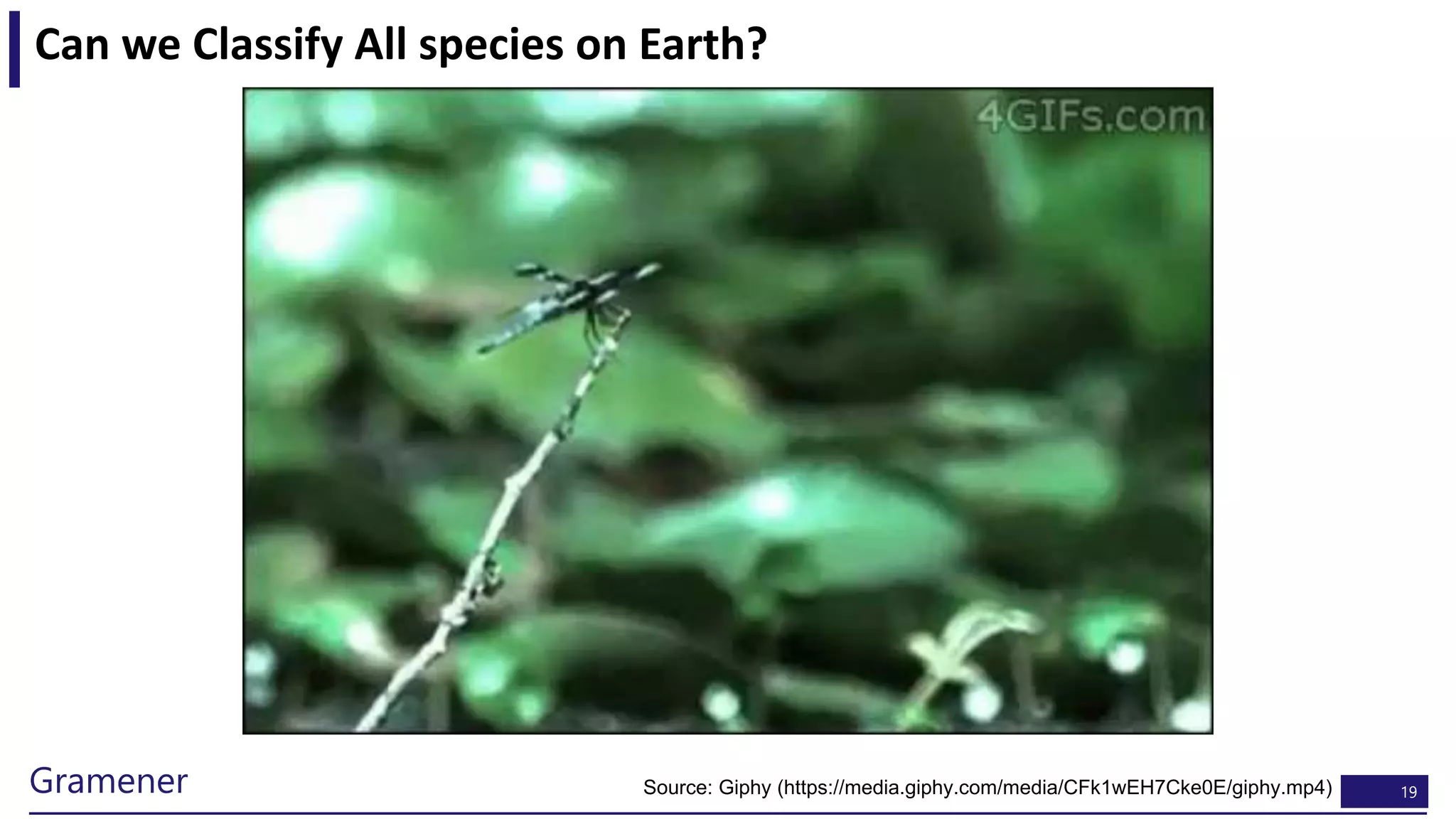 19Gramener
Can we Classify All species on Earth?
Source: Giphy (https://media.giphy.com/media/CFk1wEH7Cke0E/giphy.mp4)
 
