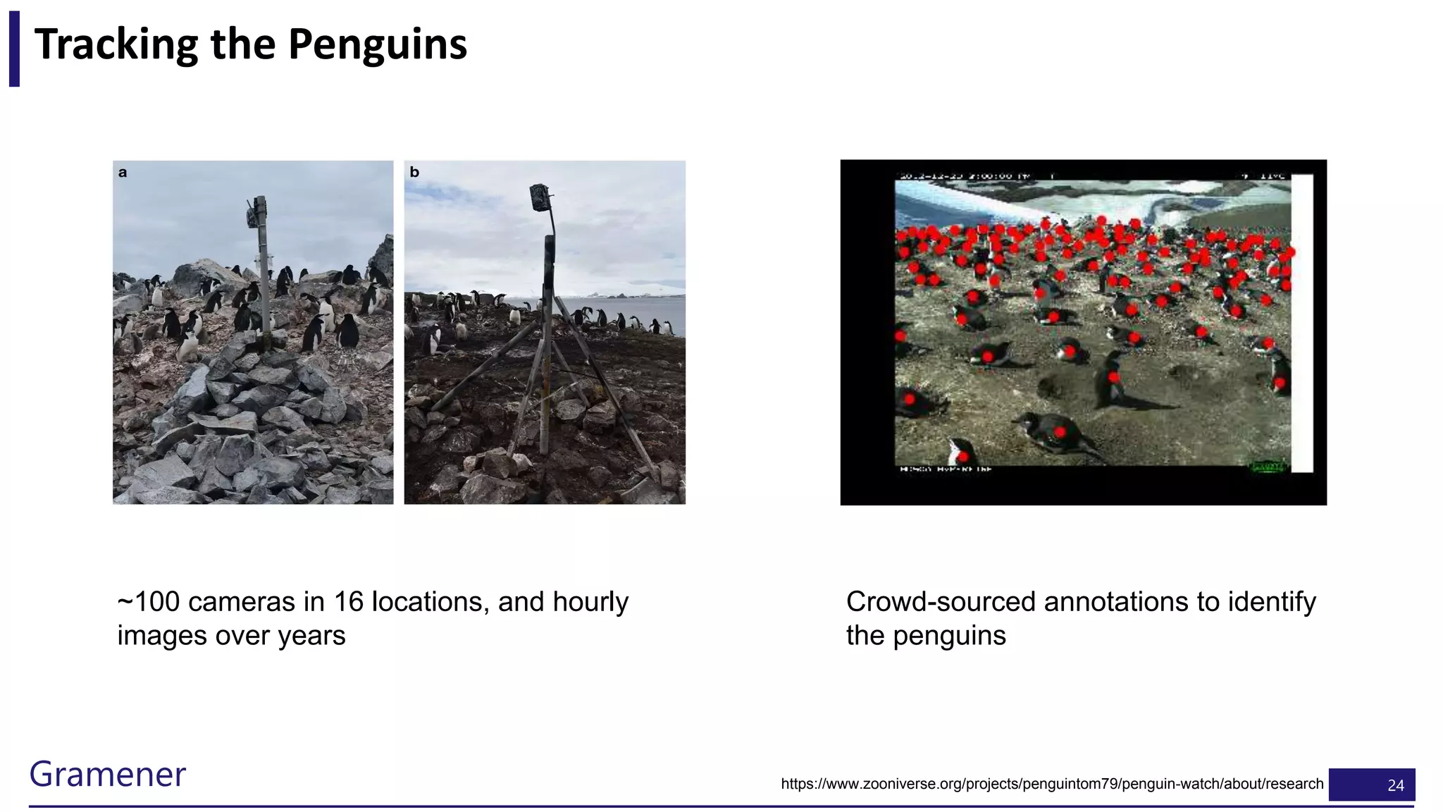 24Gramener
Tracking the Penguins
https://www.zooniverse.org/projects/penguintom79/penguin-watch/about/research
~100 cameras in 16 locations, and hourly
images over years
Crowd-sourced annotations to identify
the penguins
 