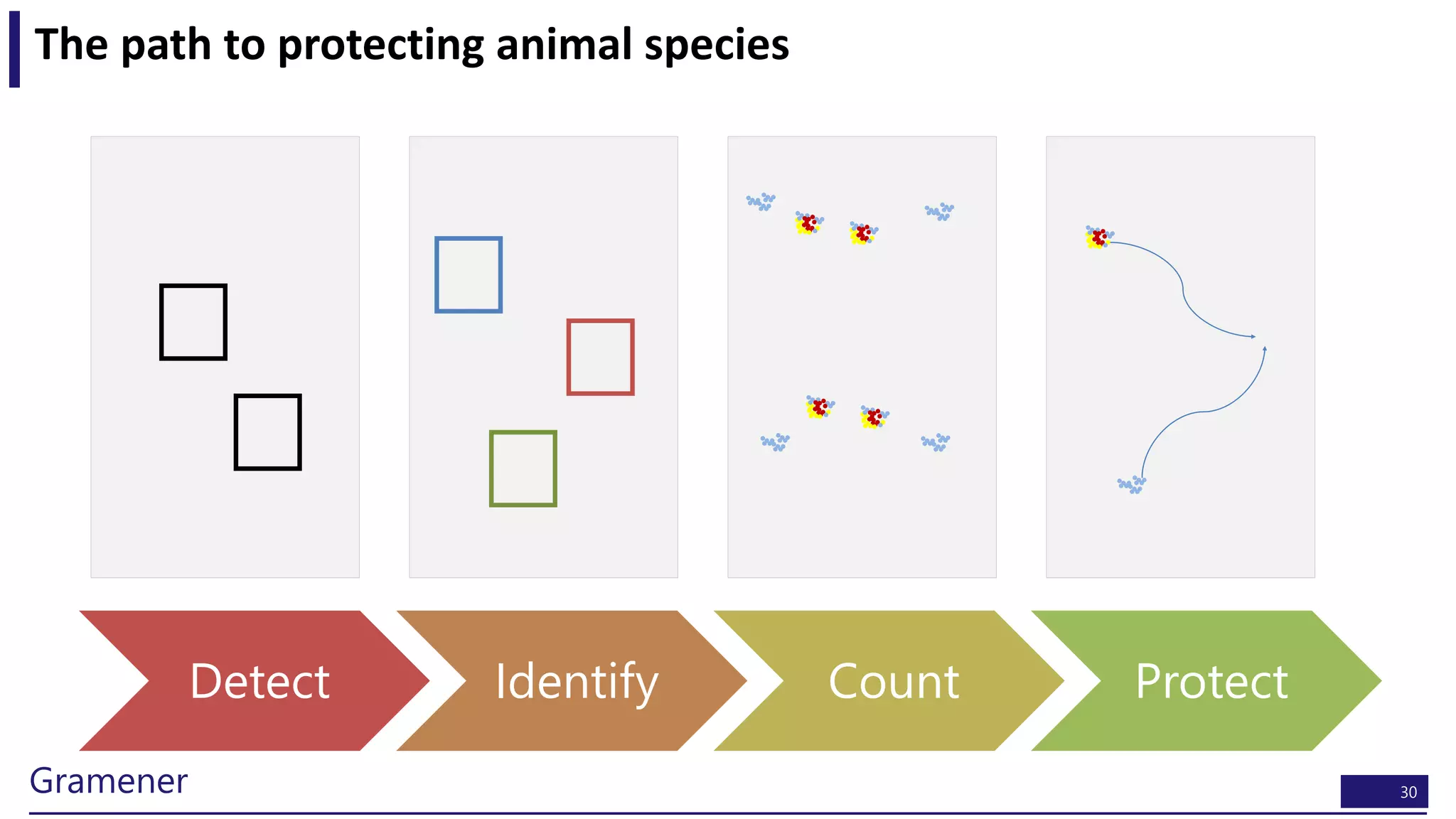 30Gramener
The path to protecting animal species
Detect Identify Count Protect
 
