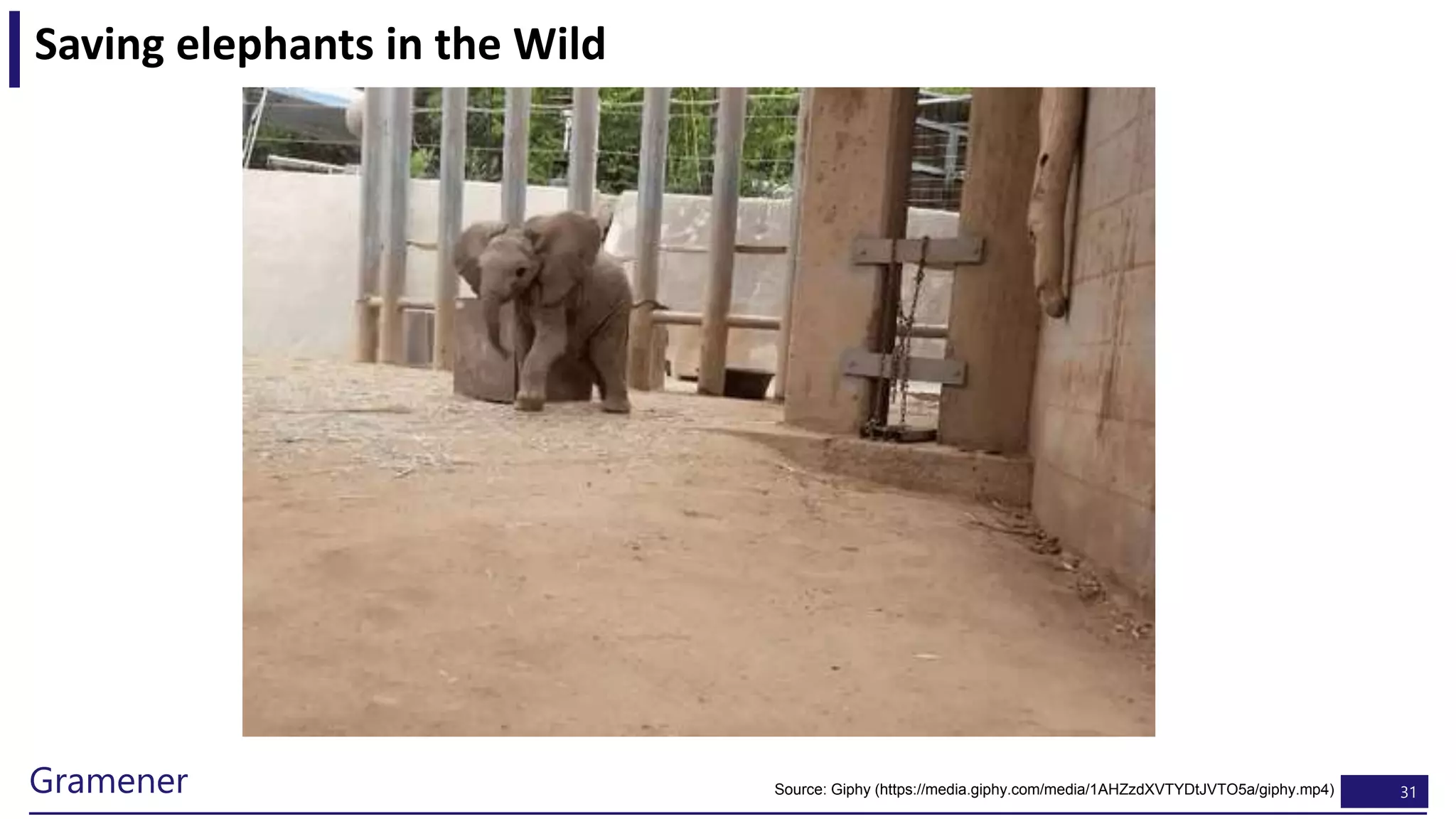 31Gramener
Saving elephants in the Wild
Source: Giphy (https://media.giphy.com/media/1AHZzdXVTYDtJVTO5a/giphy.mp4)
 