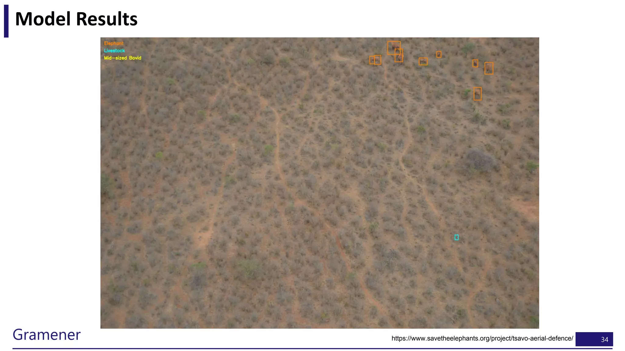 34Gramener
Model Results
https://www.savetheelephants.org/project/tsavo-aerial-defence/
 