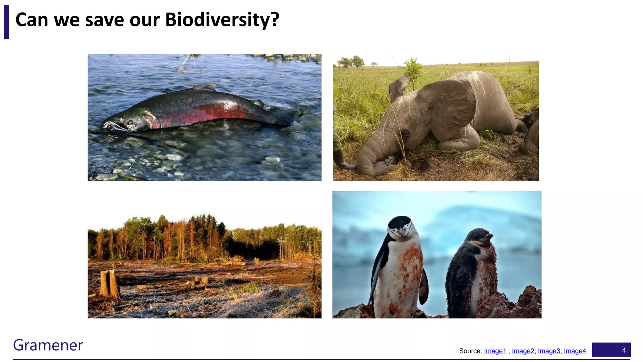 4Gramener
Can we save our Biodiversity?
Source: Image1 ; Image2; Image3; Image4
 