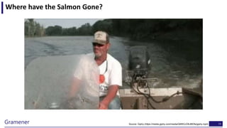 14Gramener
Where have the Salmon Gone?
Source: Giphy (https://media.giphy.com/media/QM5GJO6J8lDfa/giphy.mp4)
 