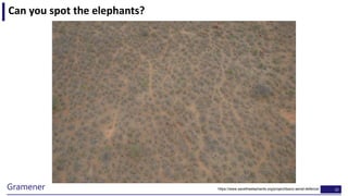 32Gramener
Can you spot the elephants?
https://www.savetheelephants.org/project/tsavo-aerial-defence/
 