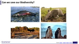 4Gramener
Can we save our Biodiversity?
Source: Image1 ; Image2; Image3; Image4
 
