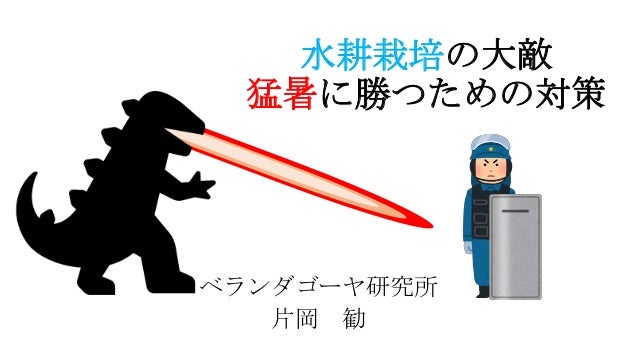 水耕栽培 液肥を冷やすための3つの対策 19 水耕栽培 液肥を冷やすための3つの対策 19